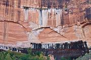 Zion Cliff 4955